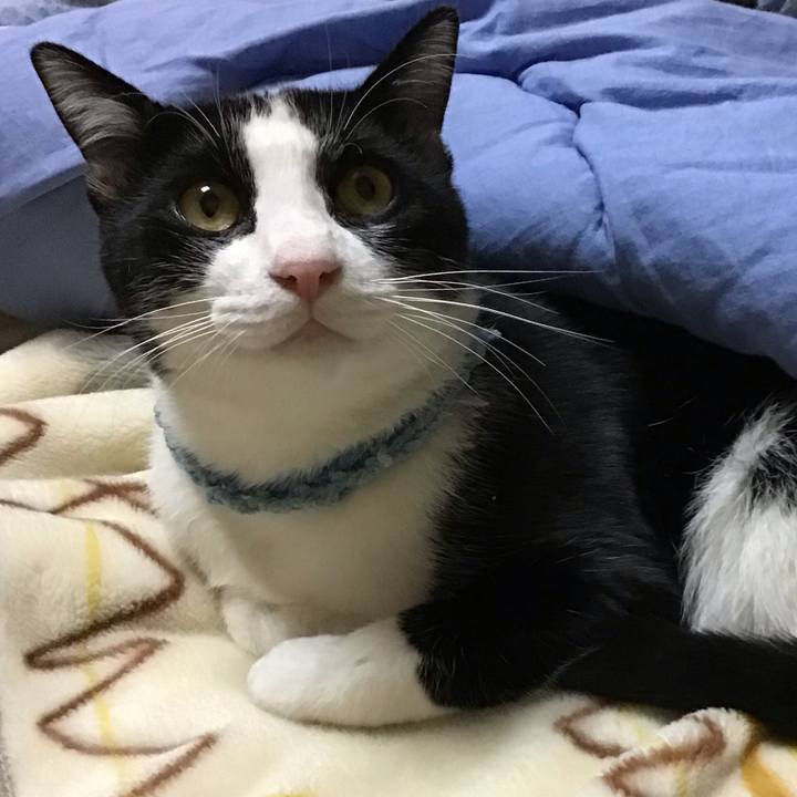 923d3ea7 f3d7 48de a4e8 563edc1e7973 1666186996101