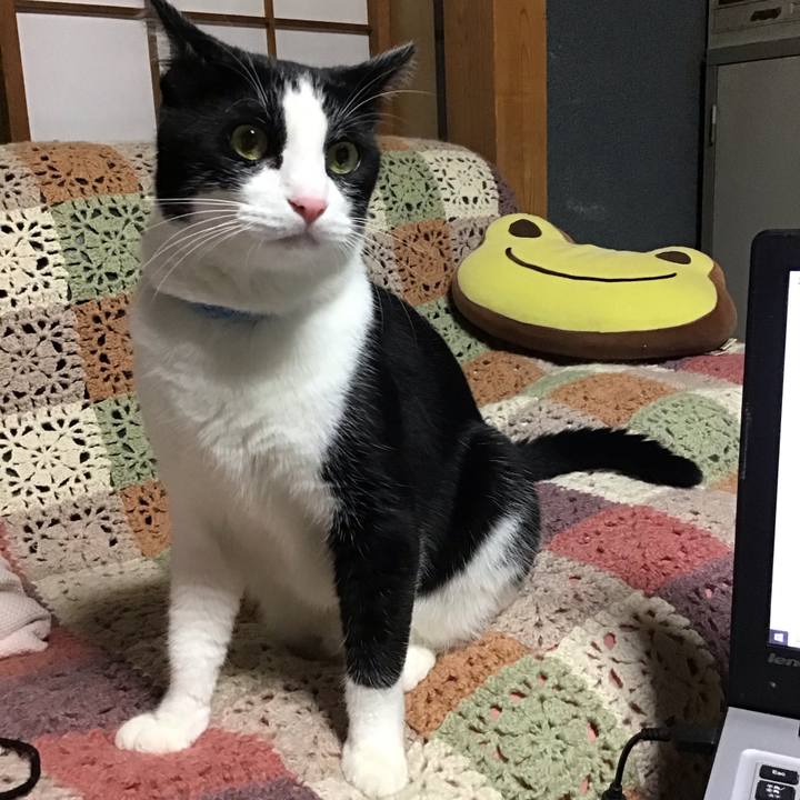 923d484d 502f 4c45 a181 545e7f3a4d7c 1727176533008