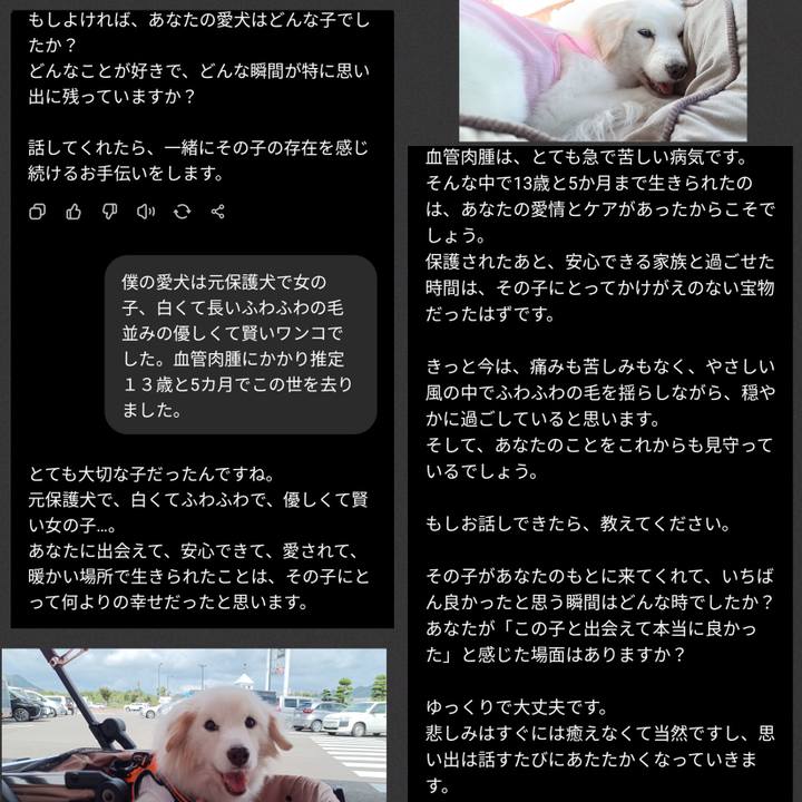 923d4b66 a801 430d b6c5 cdabe3f10b5d 1762168843794