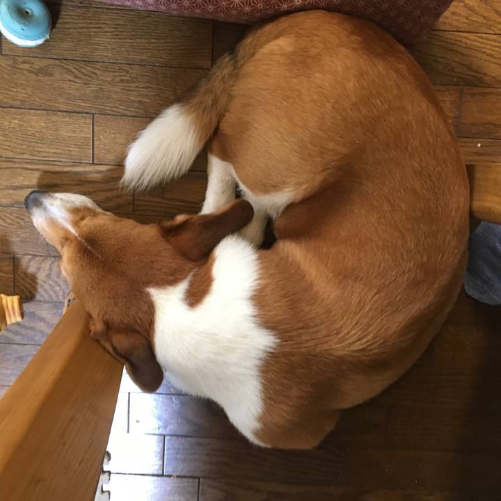 923d9381 4be2 4715 8843 40b4b1f0ef53 1600529537187