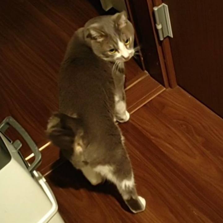 923dc903 92fd 4719 b3cc 4f067b2cda7a 1706757229091