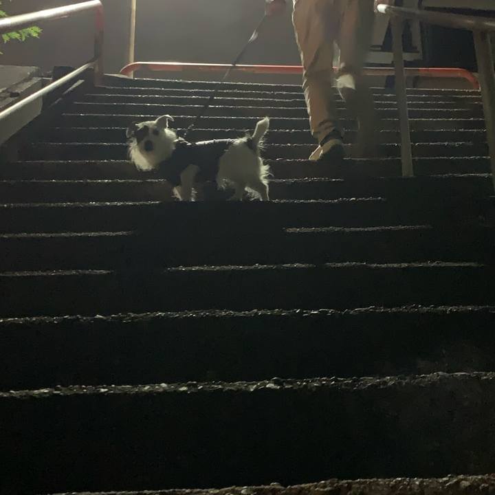 923ddd00 2b21 4c9f a0e5 7ca3dfaec0a0 1685625157590