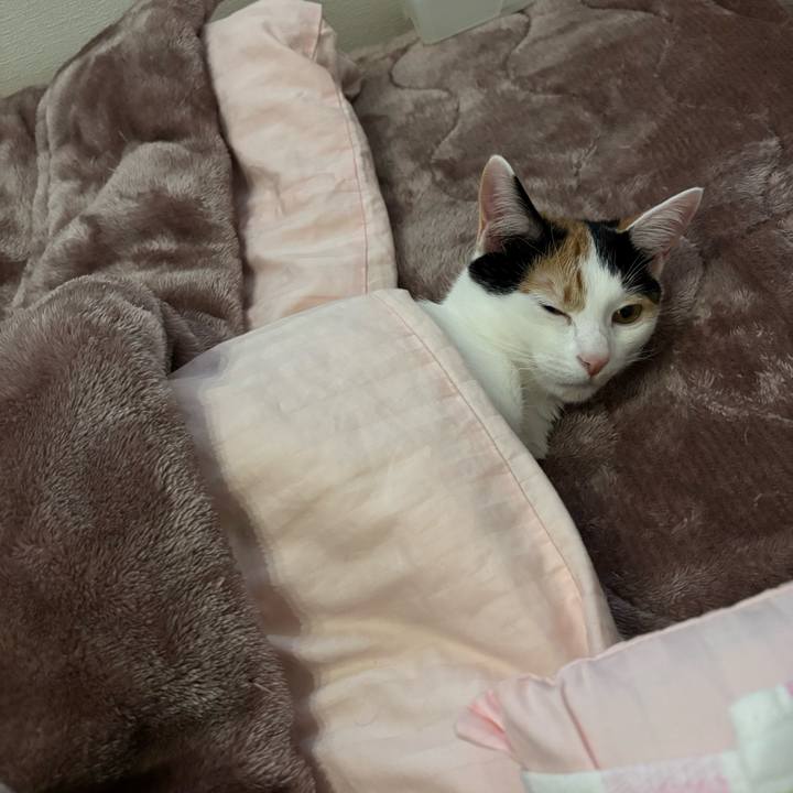 923e1614 49ad 4843 a7cb 10ecd51bfa97 1766988765437