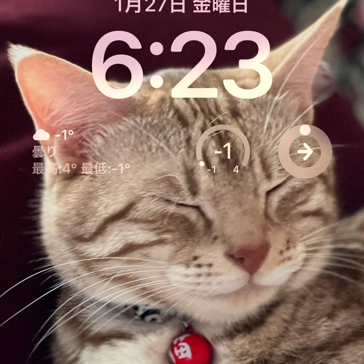 923e174d f389 4600 9094 b3c29c6b8dfc 1674771405964