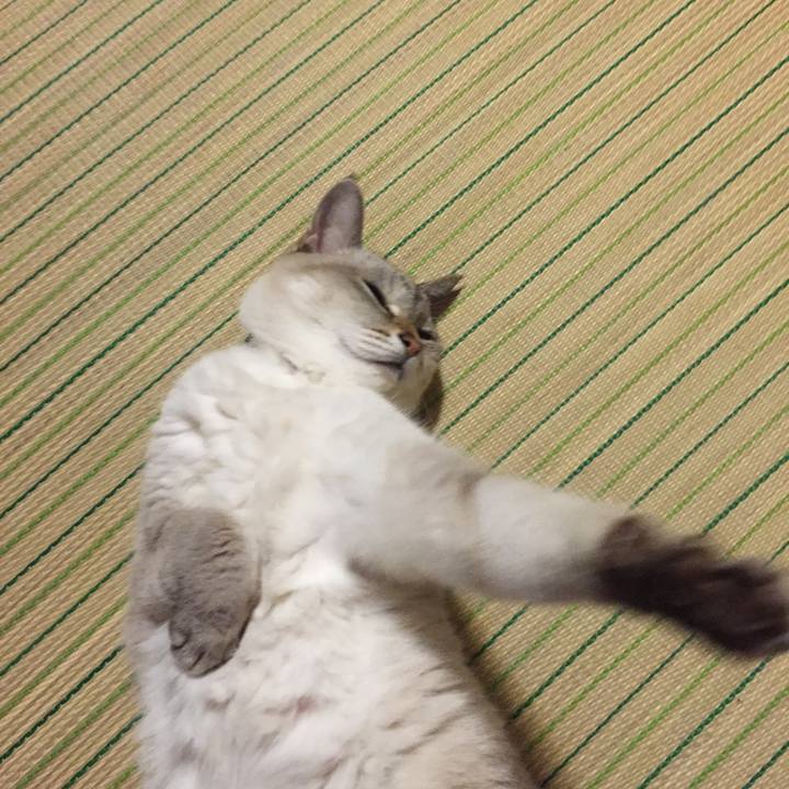 923e1d6f 0ede 43c7 be47 56a64fa38c99 1537613189891