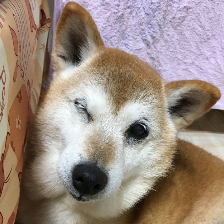 923e232d 834e 4409 885e 9dabda4d3880 1518952903761