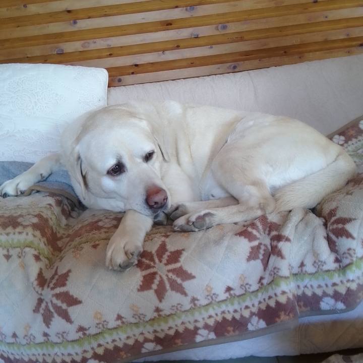 923e2dbe 4835 426b b455 894de50fc1f2 1710650255171