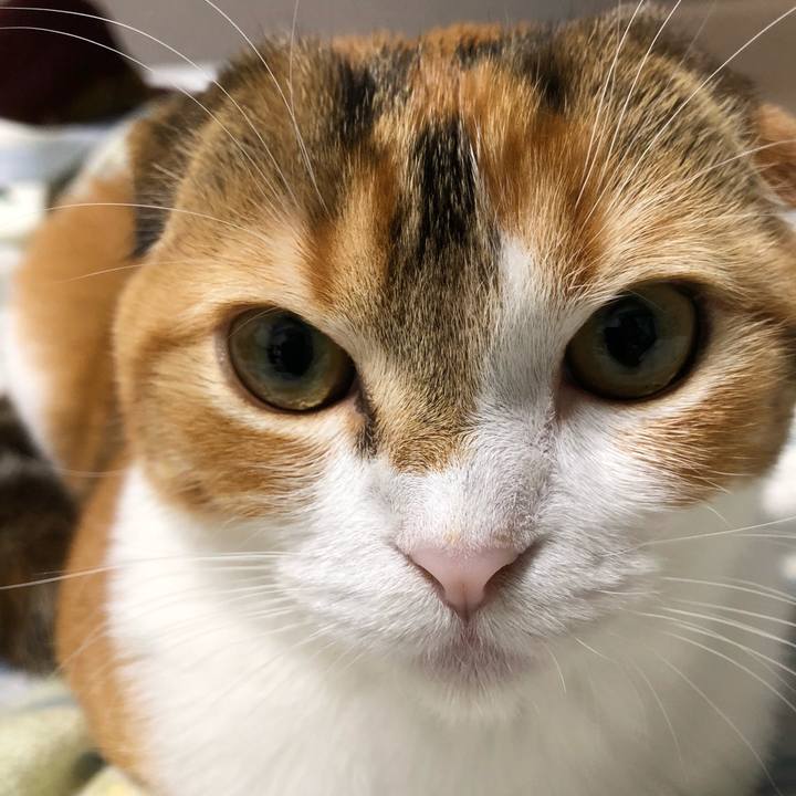 923e422f a26e 4433 ae7b 0fd4af37f771 1517925190173