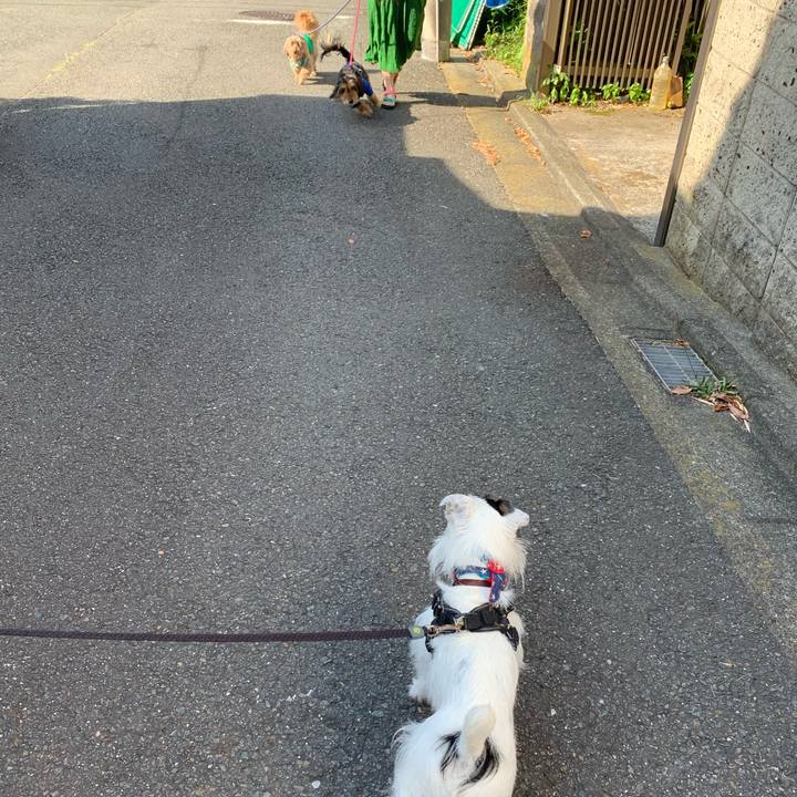 923e4861 d748 4645 9c38 7bc168f48eac 1656371211965