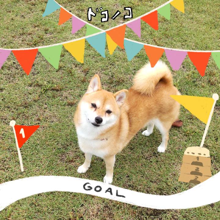 923e52cb ce1a 4a71 a9f1 38e780c8ae13 1729062029144