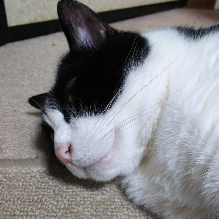 923e6e4c 6639 416d b7ba bfde69f00467 1531171141413