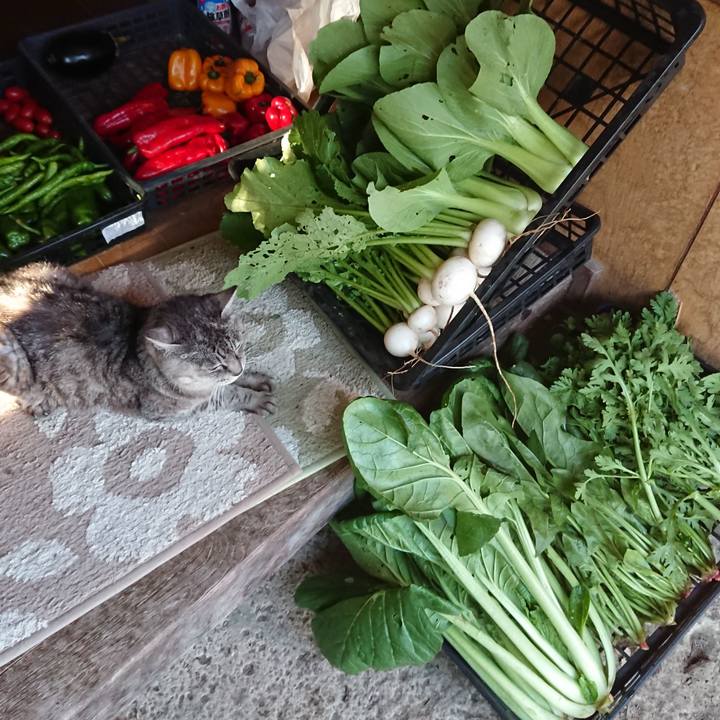 923e957f a79e 4c69 80e8 8ceffcbe0b4c 1570951769111