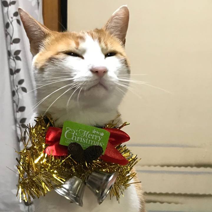 923e97f1 95cb 42e2 bc31 9b86a11332c8 1514110636721