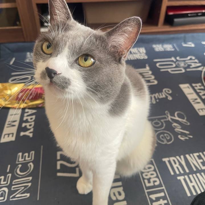 923e9c9b a7bd 4709 a185 107037e79518 1699146570855