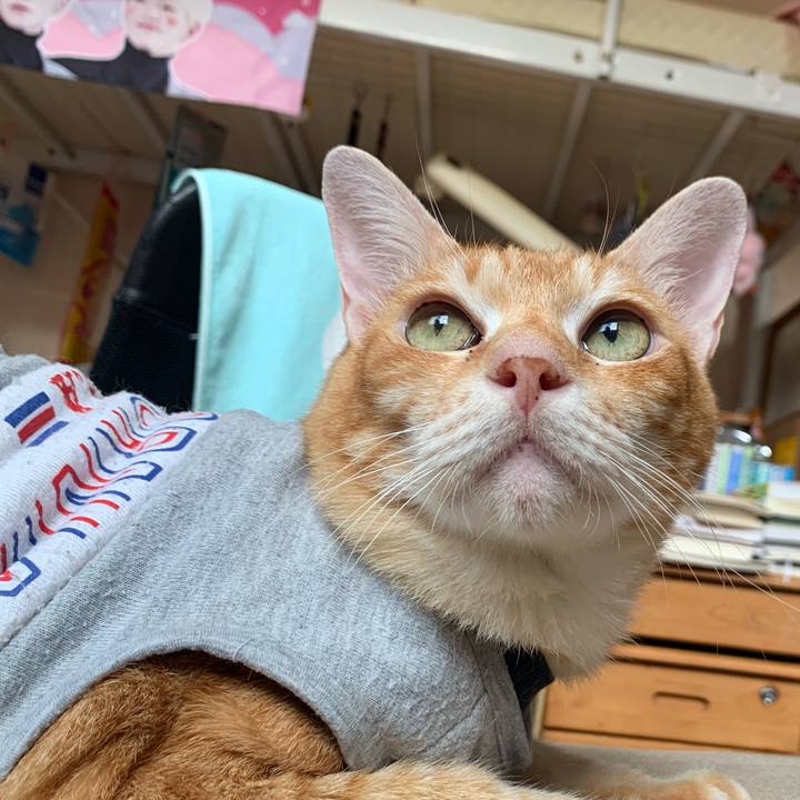 923eb4e8 0969 403c a88d a2c4b963f446 1627076197216