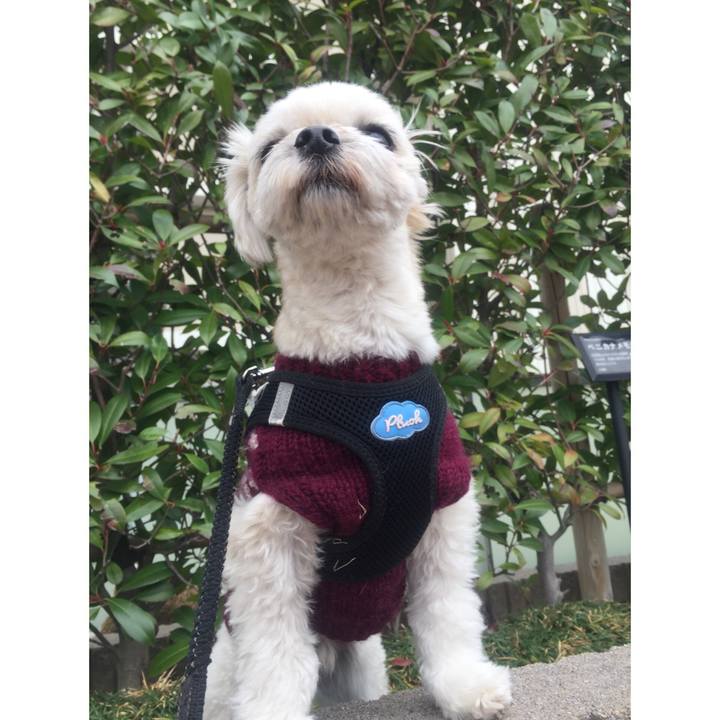 923efdc3 554c 4a60 94e2 b19090066ea3 1518327127589