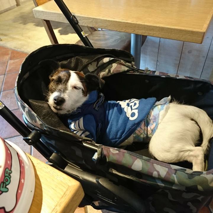 923f54fb 91ac 4931 9198 1444653f5fc5 1516085588329