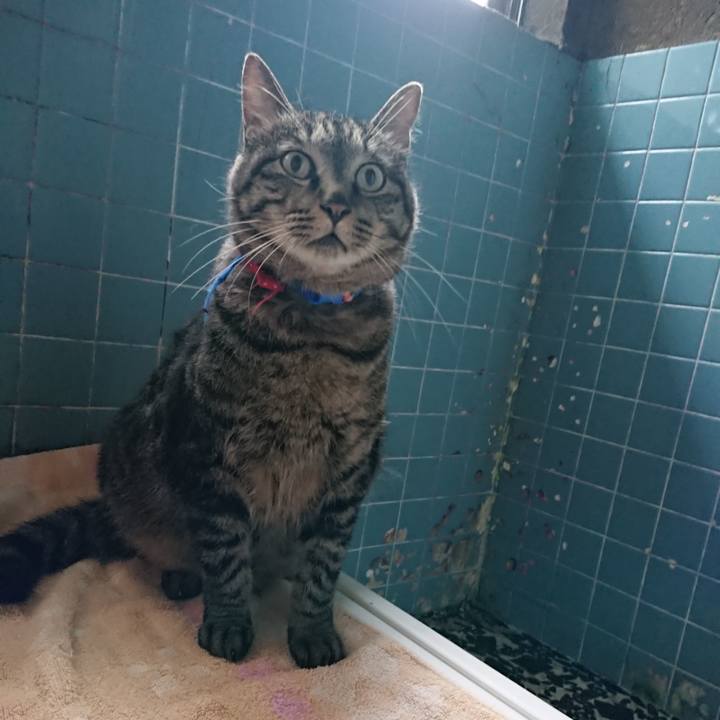 923f6982 8407 401a 9262 0ac63d9095bc 1658482233738