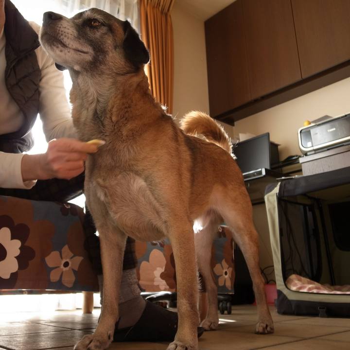 923f7726 17b6 4721 886c 96550a4f6a55 1584017445413