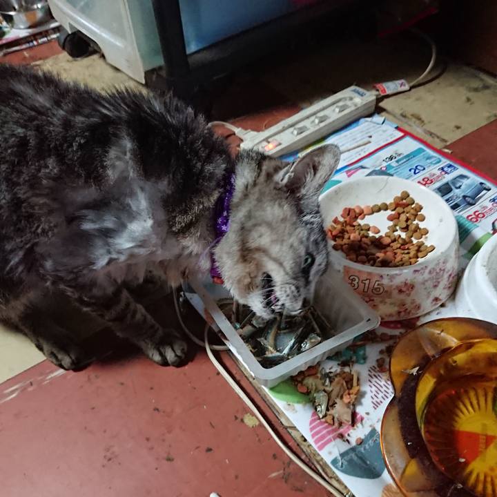 923f9c31 ad38 4017 b332 0ffc54f7b090 1592717529328