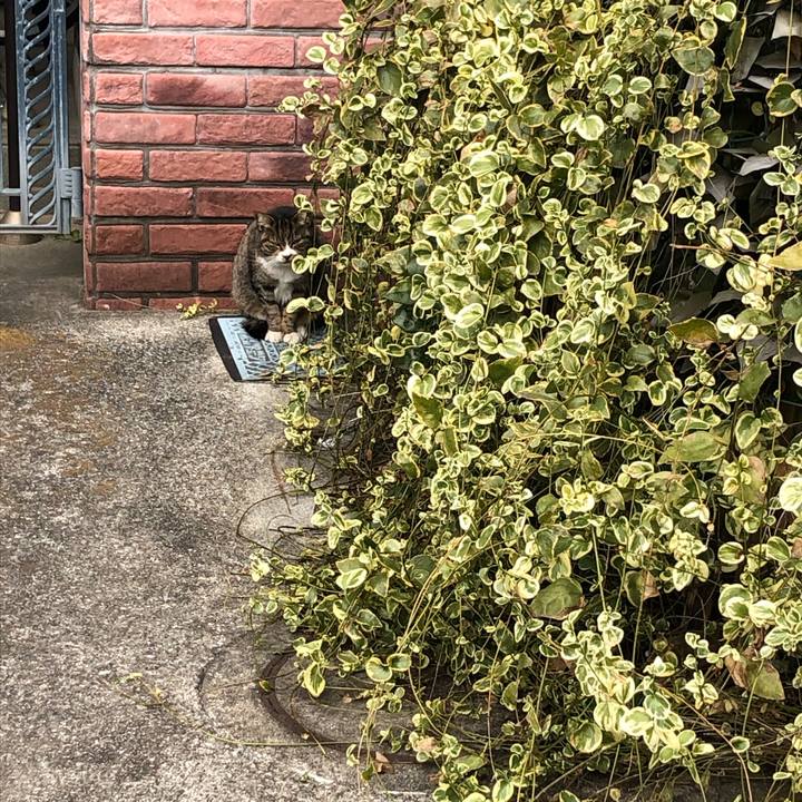 923fb285 8180 4ef6 9674 3025bc368c2e 1612107566742