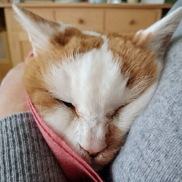 92401d0f 7e23 4560 8d40 64c379ddbeec 1671885249012