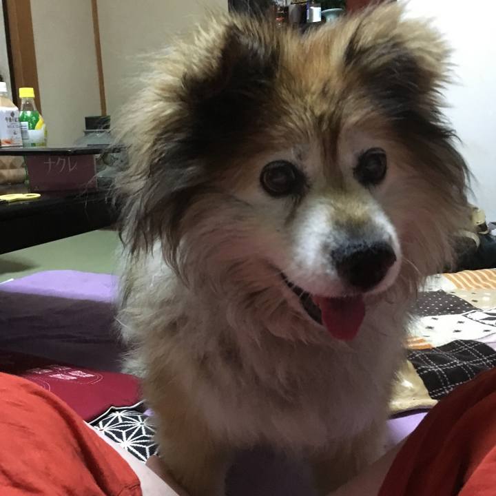 92402ea2 e0b7 463a a82e e80833c925e7 1565177078326