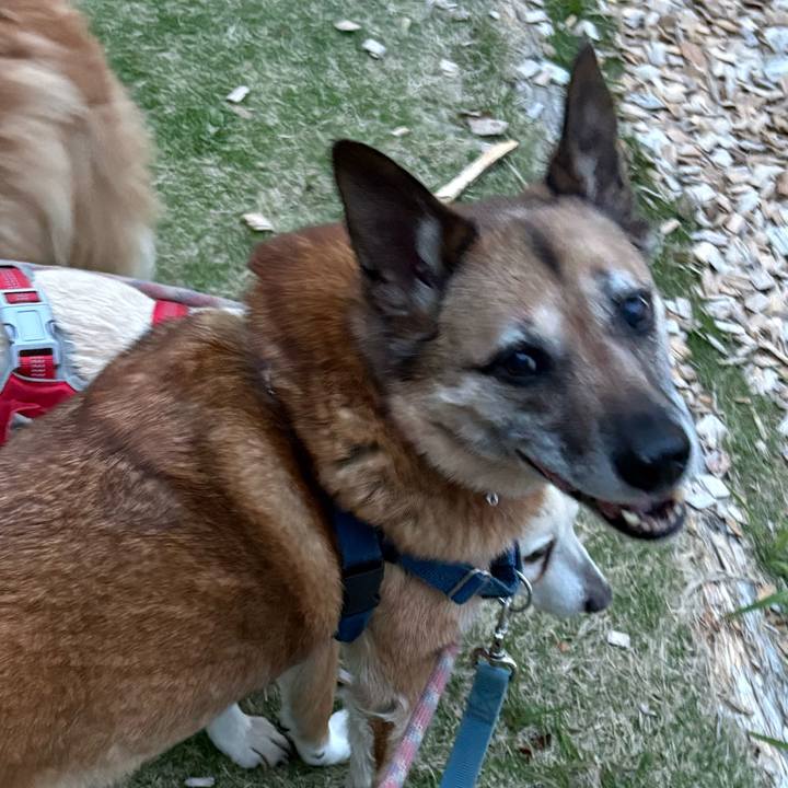 92405eb9 5c20 4dd1 a030 5a42eea87f9f 1746967162573