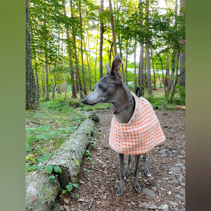 9240e4ec a8c7 41b9 a288 6fc975bba22c 1758448405497