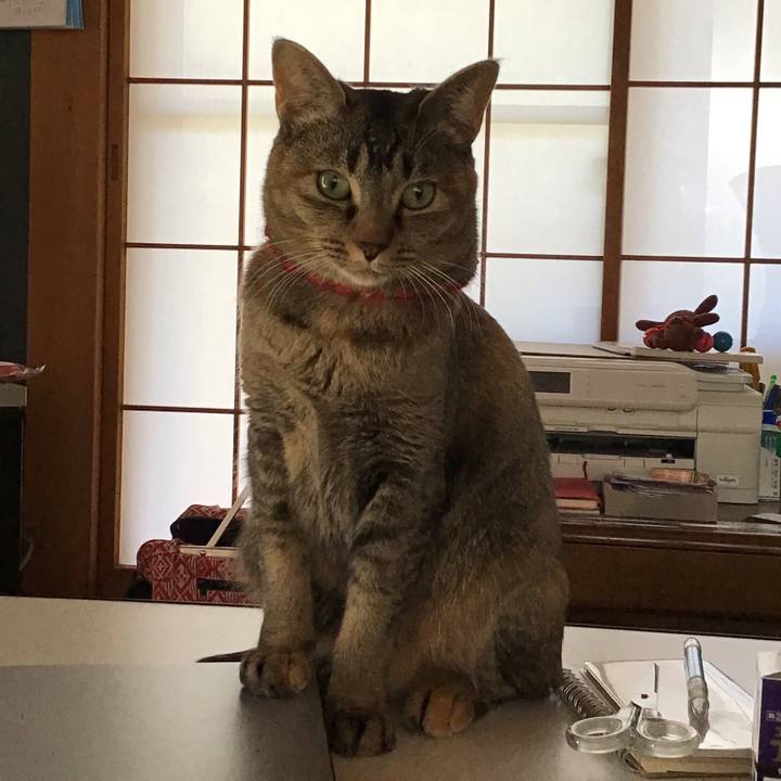 92411c9d 4ad6 44fa 9e3b 9543a01579ba 1613703755932