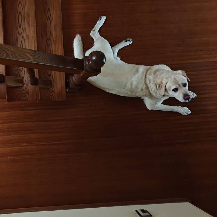 92413a62 820f 4501 bda9 ac9cabbb04e8 1759465066564