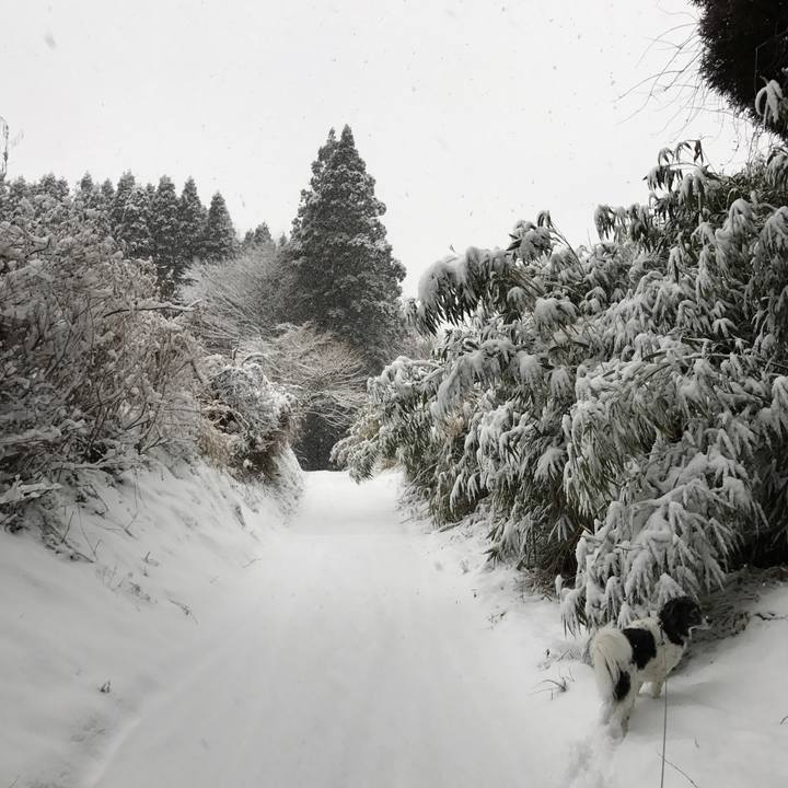 92414d87 cf38 4162 a928 ebe336d21d6e 1517723505128