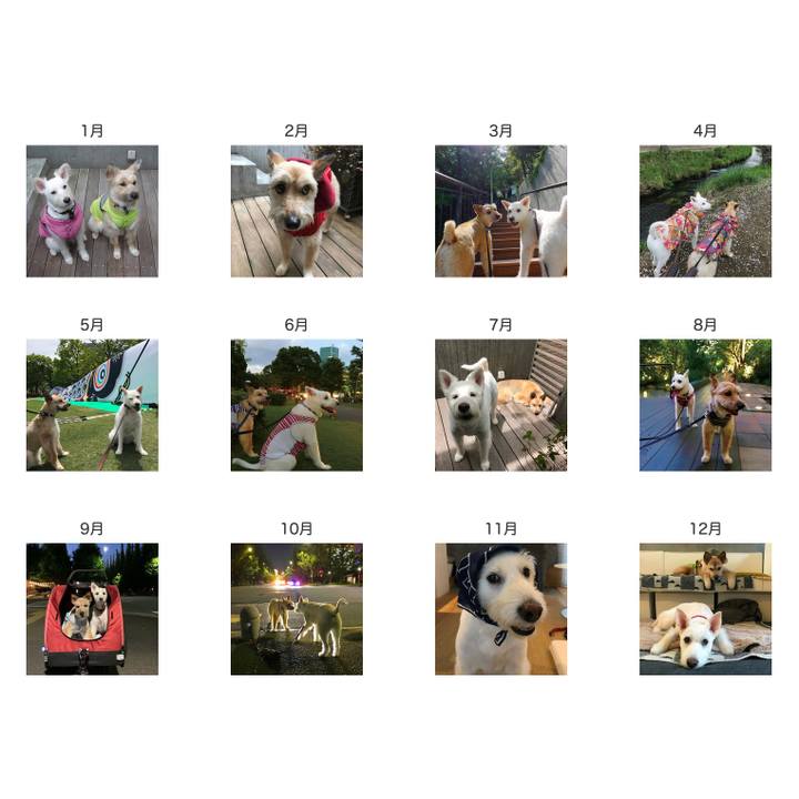 92415a4c 3cab 41c5 bed5 f881d17b0ffc 1763627110152