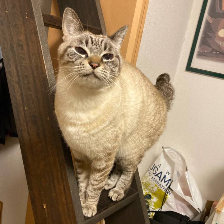 92416f50 1310 4393 93c8 651bd46e55e4 1771545384204