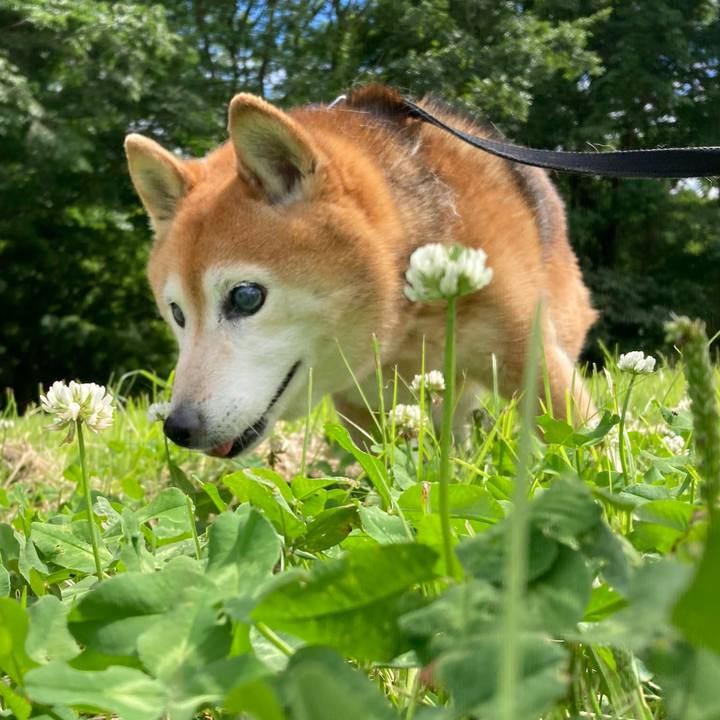 9241702c e360 4996 8162 6f9c61ae1481 1749019480032