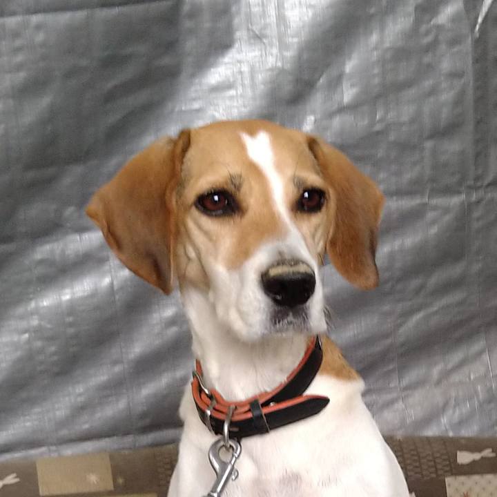 92417708 c2d9 43eb a4a0 cc76d3eadd38 1633498969904