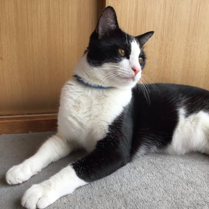 92418b3b fdbb 4880 8214 48513c26d342 1658409677089