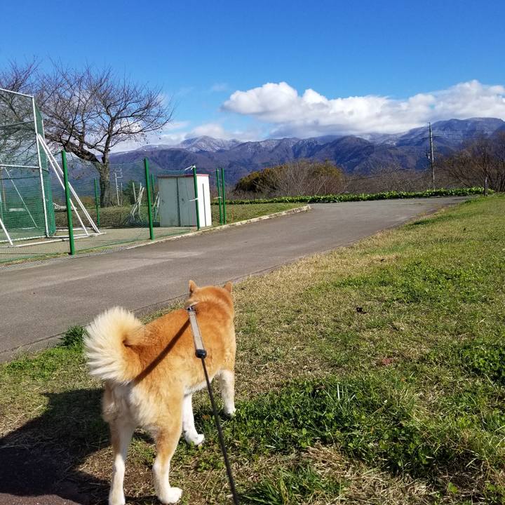 9241a5cb 7d6e 471d b4a1 d288960e00ae 1699932331341