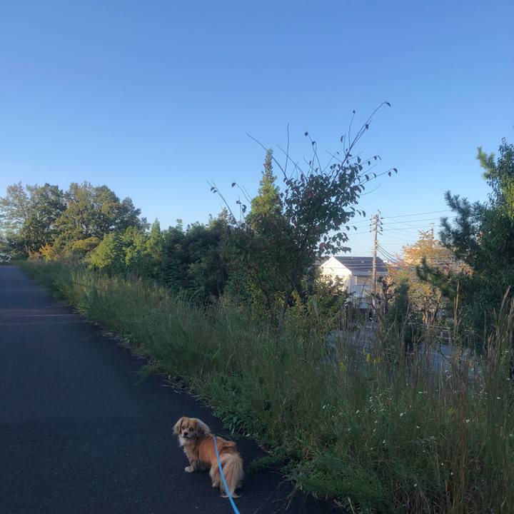 9241bb30 6ca7 41e4 b6d2 91416259debd 1540076546240