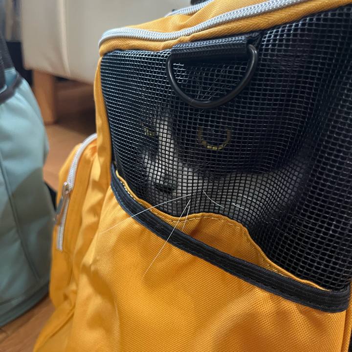 9241f17b a67a 49d3 b6e8 f865890986e1 1724723189111