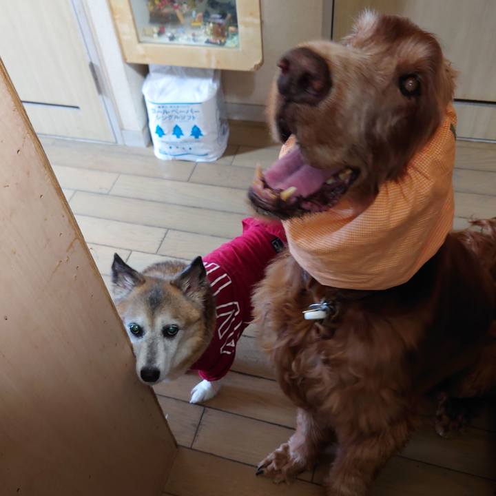 924212e9 ad66 44d4 b37e bcc3b142028c 1722347291492