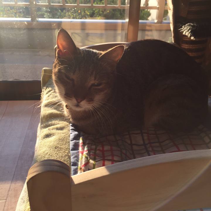 924213e0 67f4 4a1a a178 40787d039836 1540855437130