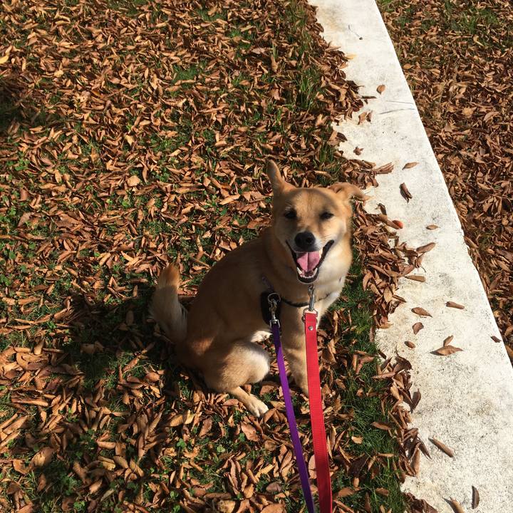 92423732 aa74 48c2 835d b485568d404b 1539828886043