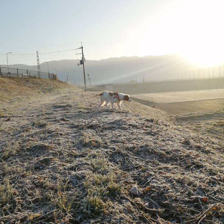 924268b4 468a 4924 b99c 906609a39899 1610687395196