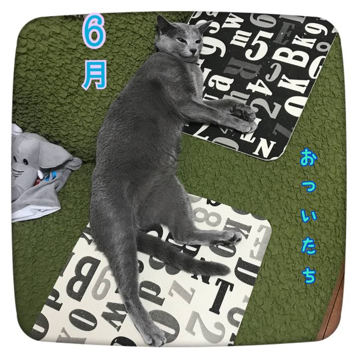 9242879c 4277 4a8e bda3 16e7b1b97e50 1527861023959