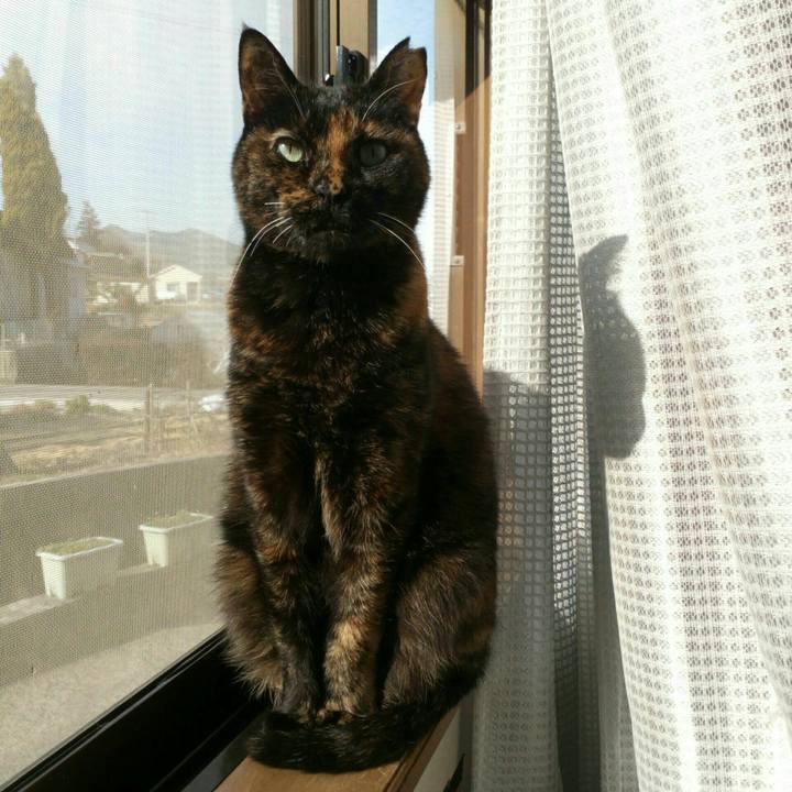 9242ac10 5178 4fca 9fee bf1fe24dbd5b 1548827060440