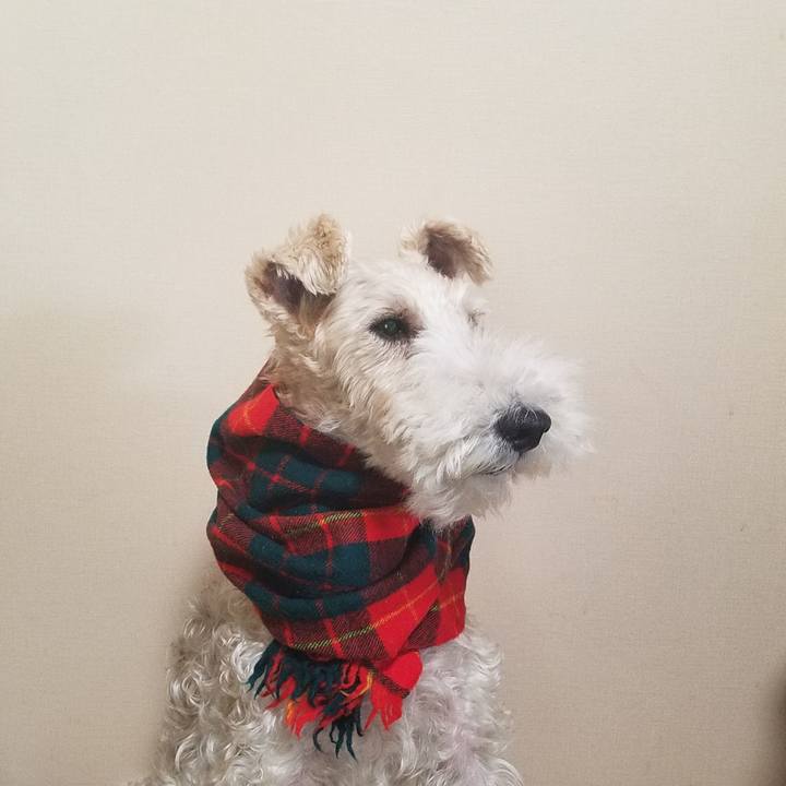 9242e9a9 ffc8 4eca ae37 9209fc199111 1540124637776