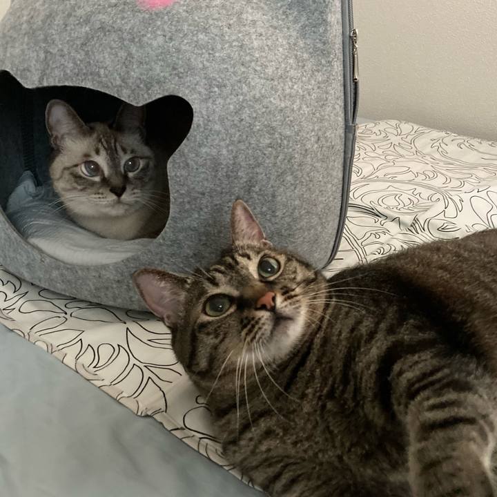 92431cc5 e3ea 484d ac83 6e6db0ff2318 1660783028058