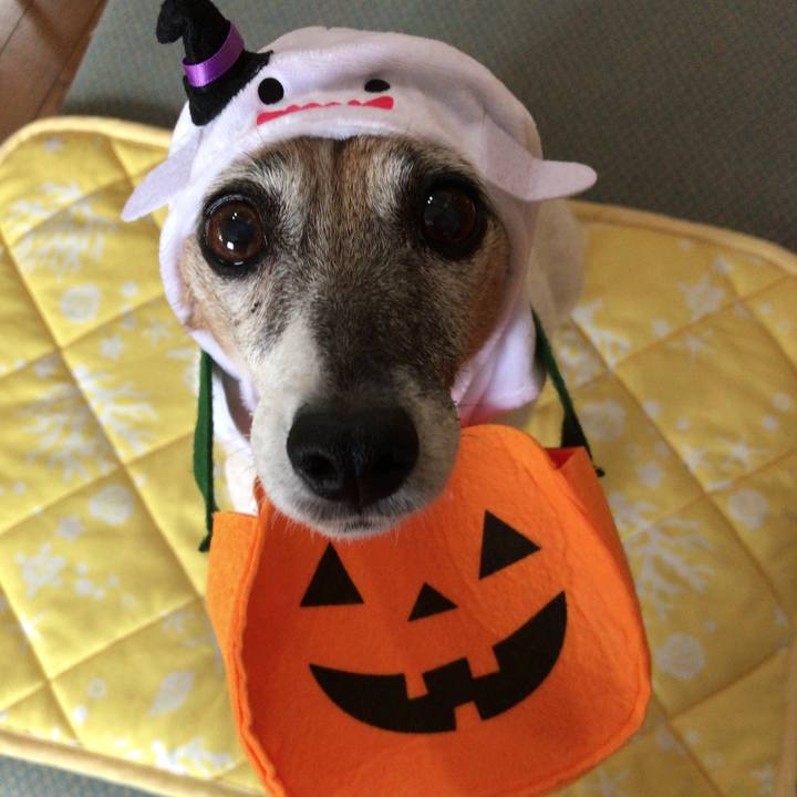 92431e67 0d71 40ce aec0 e26eed32c158 1509418927065