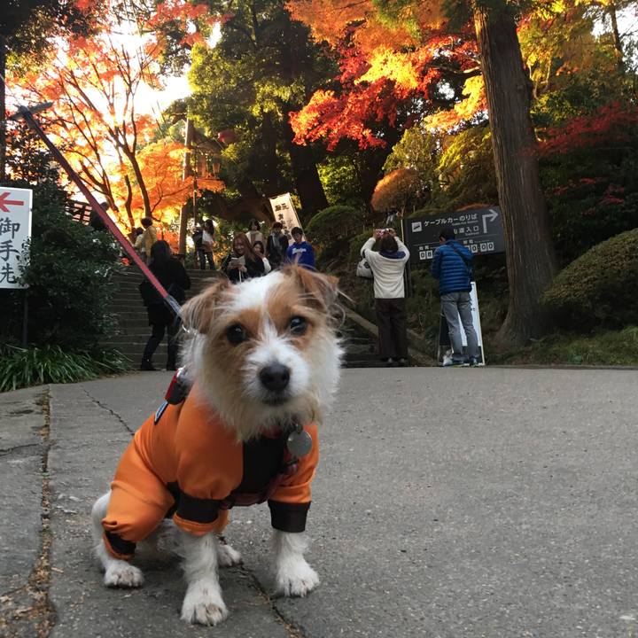 92432122 280d 4c10 b04c 2774ab449800 1511696645664